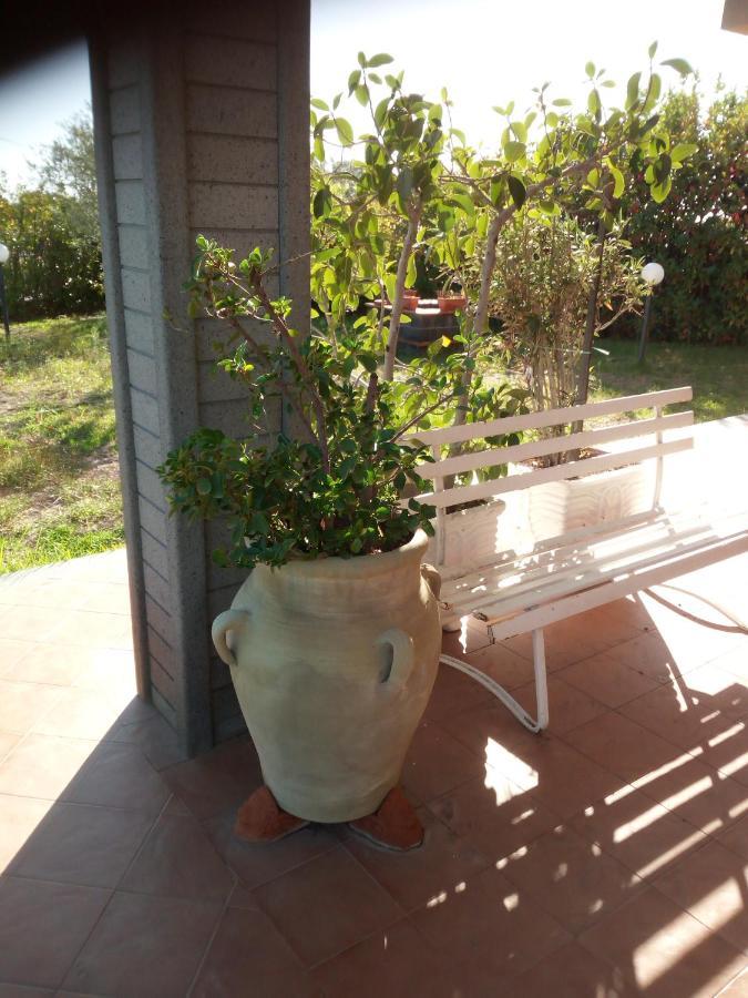 Villa Antonietta Педара Екстериор снимка