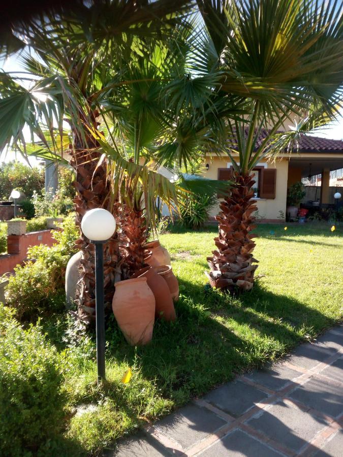 Villa Antonietta Педара Екстериор снимка